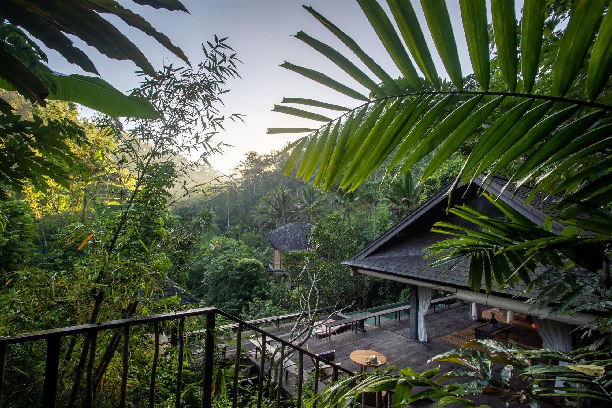 Buahan, A Banyan Tree Escape Payangan Kültér fotó
