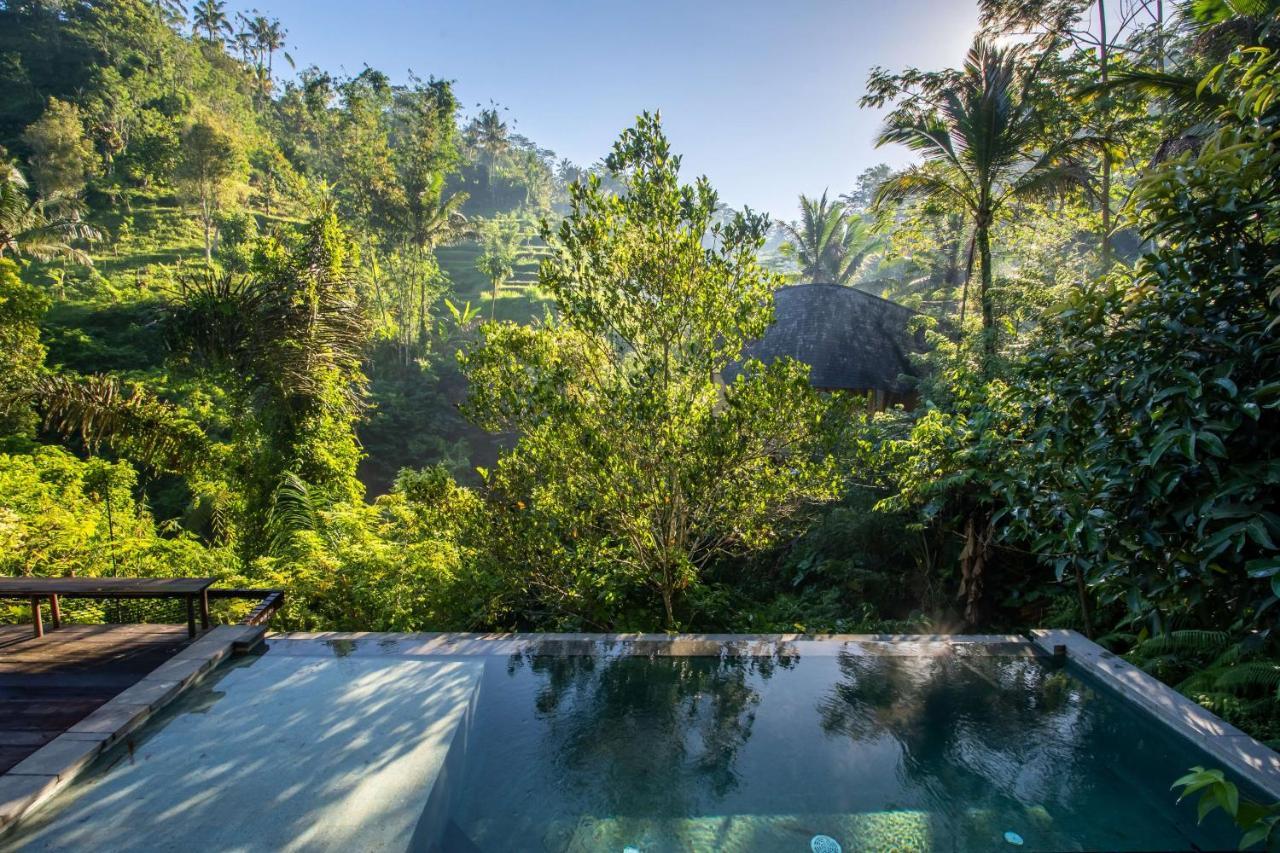 Buahan, A Banyan Tree Escape Payangan Kültér fotó